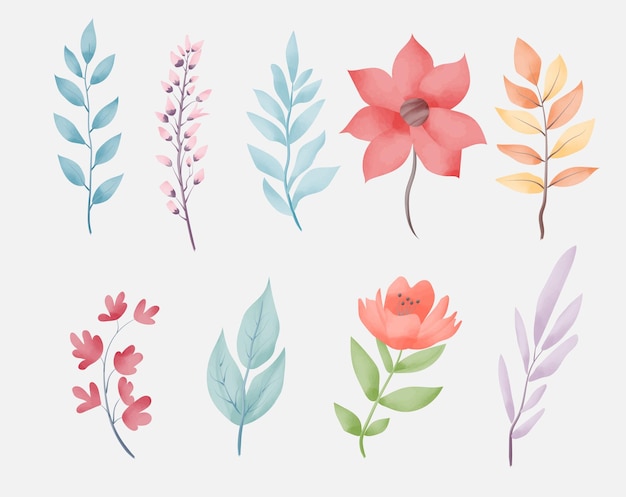 Aquarel Bloemen en bladeren Set van aquarel bloemen en takken Aquarel natuur elementen