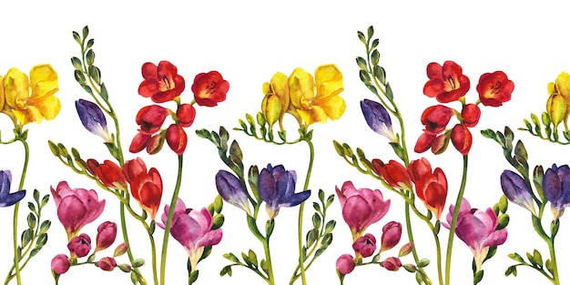 Aquarel bloemen Freesia veld op een witte achtergrond