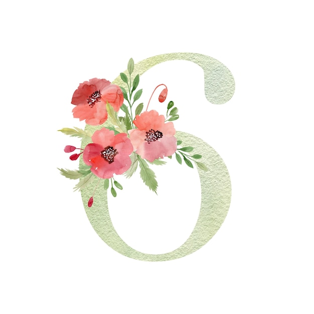 Aquarel bloemen nummer 6 met klaprozen