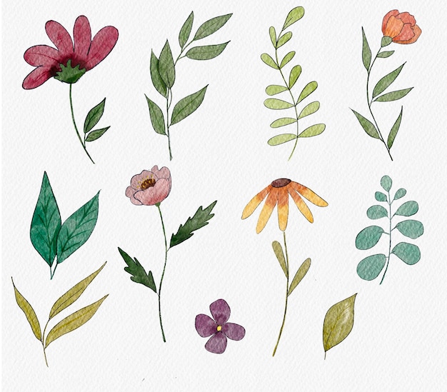 Aquarel bloemen set clipart