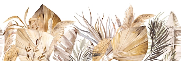 Aquarel Boheemse naadloze grens met gedroogde tropische bladeren en pampagras illustratie geïsoleerd. Beige element voor bruiloftsontwerp en knutselen