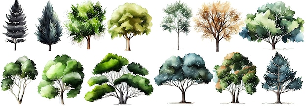 Aquarel bomen collectie Set van handgetekende bomen Forest tree pack Generative Ai