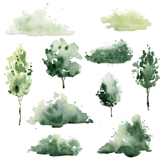 Aquarel bomen en struiken