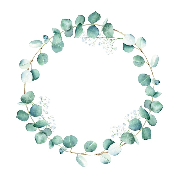 Aquarel eucalyptus en gypsophila ronde frame krans geïsoleerd op witte achtergrond hand getrokken