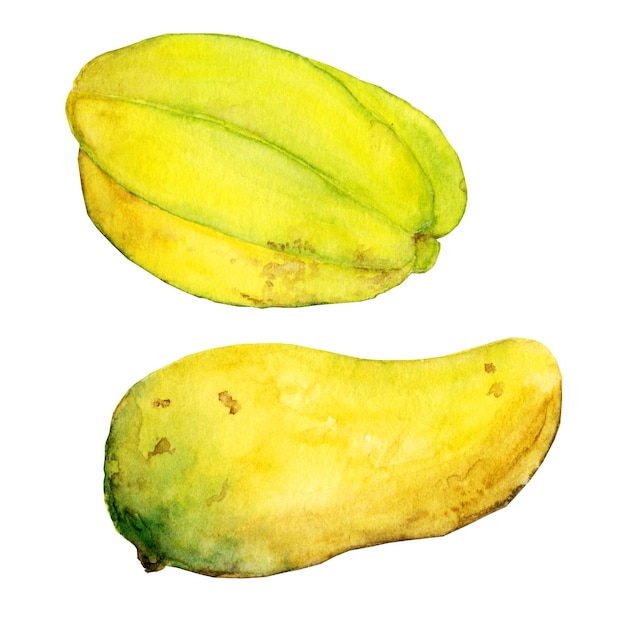 Aquarel exotisch fruit mango en carambola