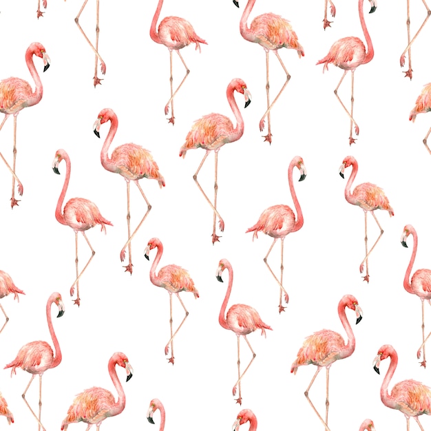 Aquarel flamingo patroon