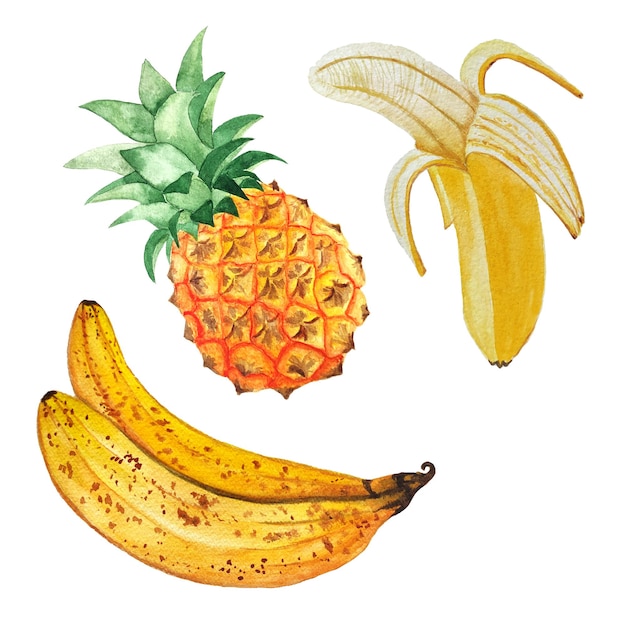 Aquarel fruit, banaan en ananas, op een witte achtergrond