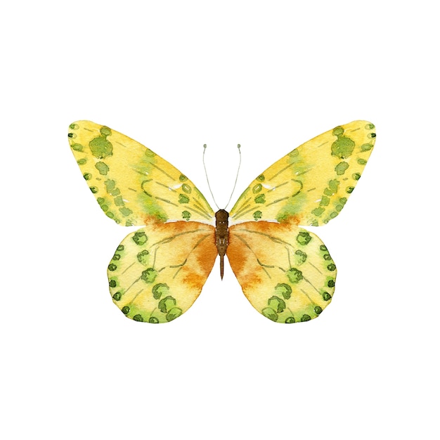 Aquarel gele vlinder