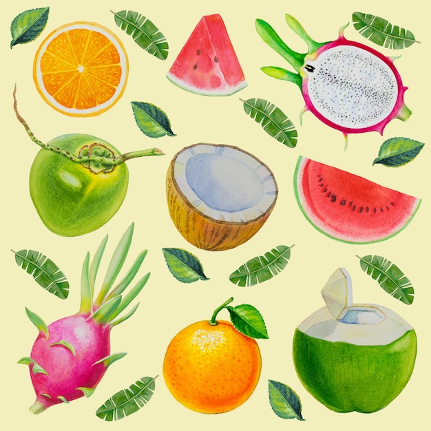 Aquarel geschilderde collectie van fruit.