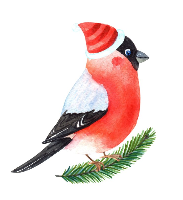 Foto aquarel goudvink. winter robin vogel met rode borstveren.