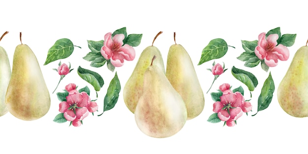 Aquarel grens peer. Fruit, bladeren en bloemen