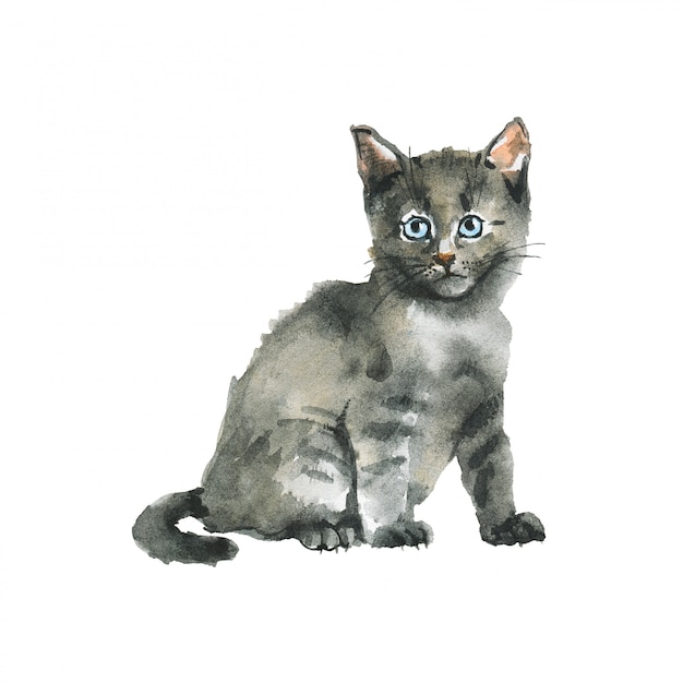 Foto aquarel grijs pluizig kitten. hand getekend russische blauwe kat.