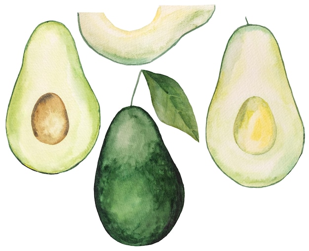 Aquarel groene, sappige avocado Hele plak en een halve avocado tropisch fruit illustratie Gezonde voeding keto dieet