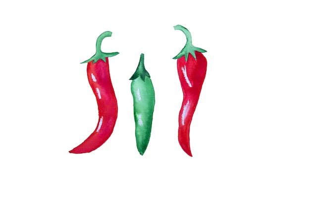 Aquarel hand getrokken chili pepers