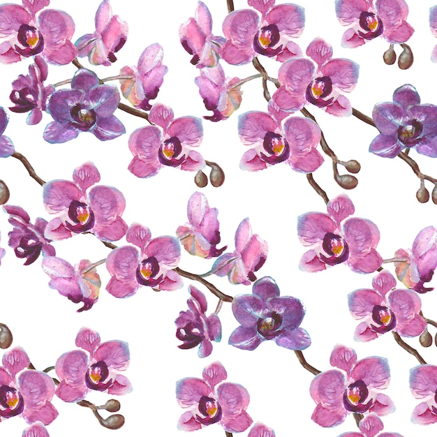 Aquarel handgeschilderde orchidee takken naadloze patroon op witte ondergrond