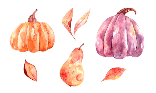 Aquarel herfst set met heldere pompoenen bladeren en peren botanische illustratie