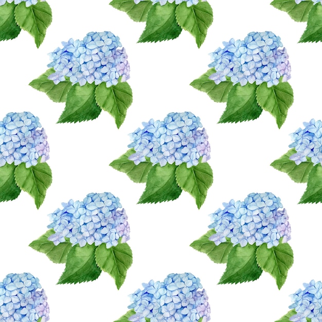 Aquarel hortensia naadloos patroon