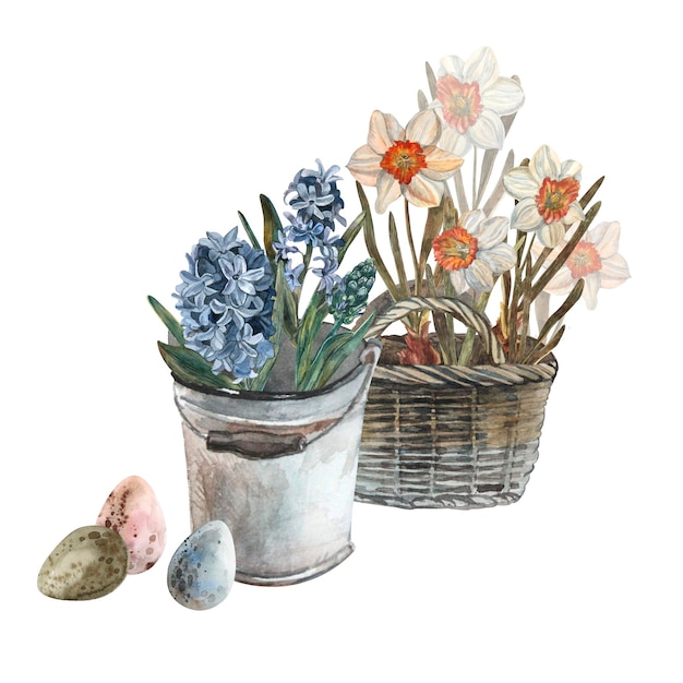 Aquarel hyacint set handgeschilderde bloemen illustratie mooie bloemen geïsoleerd op een witte achtergrond