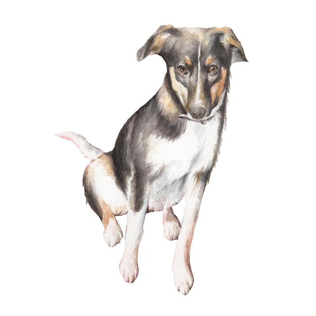 Foto aquarel illustratie met hond hand getrokken