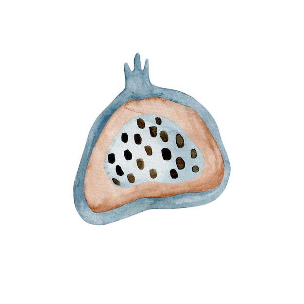 Aquarel illustratie van granaatappel geïsoleerd op een witte achtergrond.