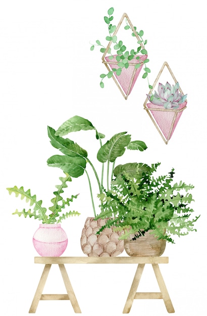 Aquarel illustratie van huisdecoratie met potplanten