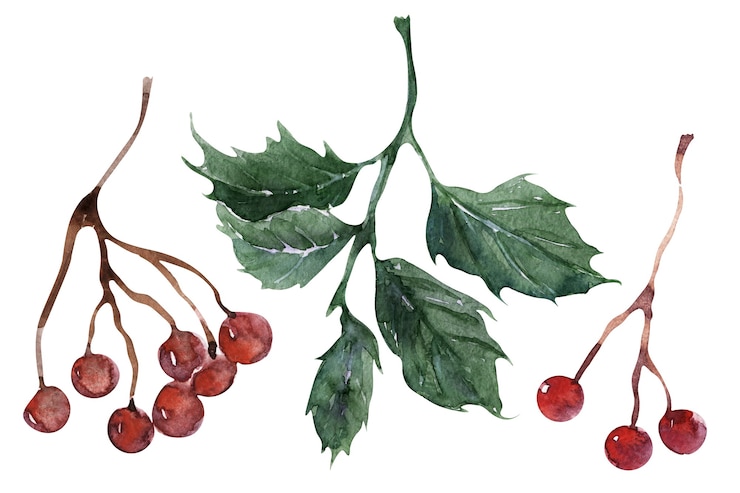 Foto aquarel illustratie voor feestelijke nieuwjaars- en kerstthema's