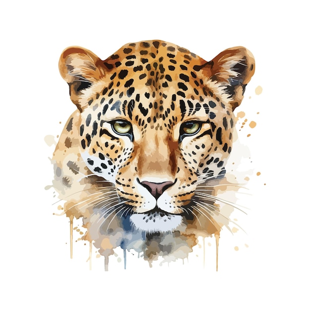 Aquarel Jaguar Leopar geïsoleerde witte jaguar schilderij