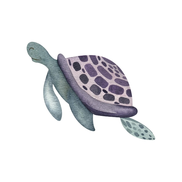 Aquarel kawaii groen paarse zeeschildpad en in schattige stijl