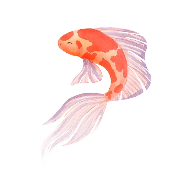 Aquarel koi vissen. Rode, oranje vis met een grote staart. Digitale illustratie op een witte achtergrond