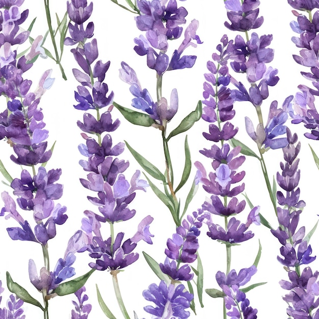 Aquarel lavendelbloem met bladeren naadloos patroon