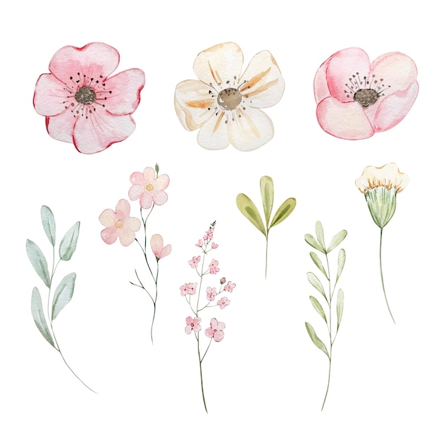 Aquarel lente bladeren pastel bloemen voor ontwerp
