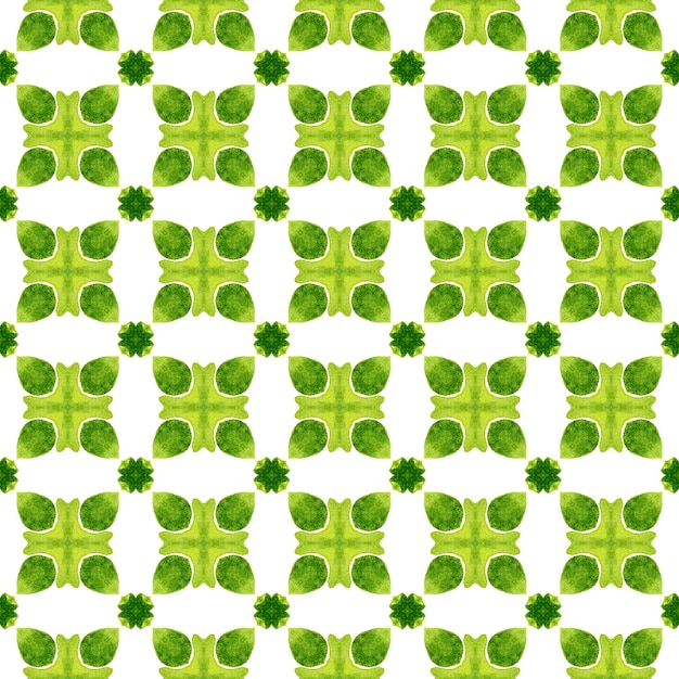 Aquarel medaillon naadloze grens. Groen degelijk boho chic zomerdesign. Medaillon naadloze patroon. Textiel klaar fantasierijke print, badmode stof, behang, inwikkeling.