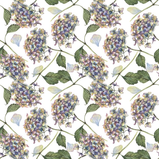 Aquarel naadloos patroon met illustratie van hortensia bloemen en takken