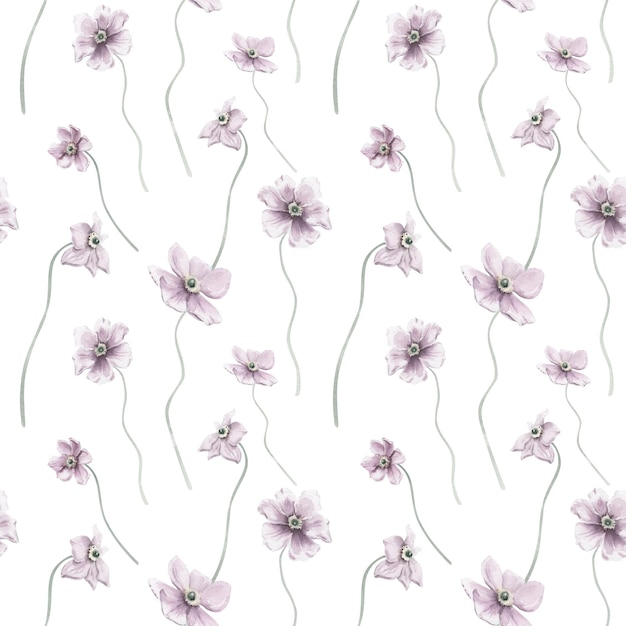 Aquarel naadloze patroon achtergrond met kosmos bloemen op witte achtergrond