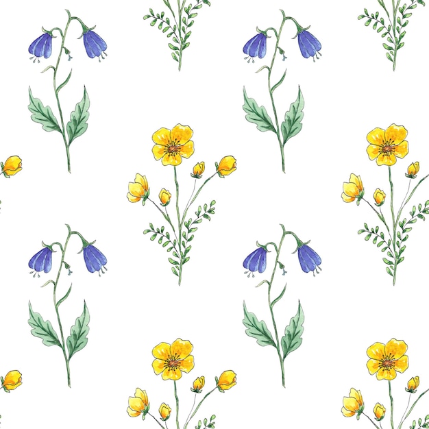 Aquarel naadloze patroon gele wilde bloemen op witte achtergrond, met de hand geschilderd in botanische stijl