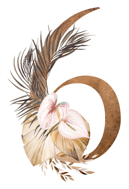 Aquarel nummer 6 met tropische en katoenen bloemen gedroogde palmbladeren en pampagras boheemse nummer zes illustratie beige element voor bruiloft ontwerp en knutselen