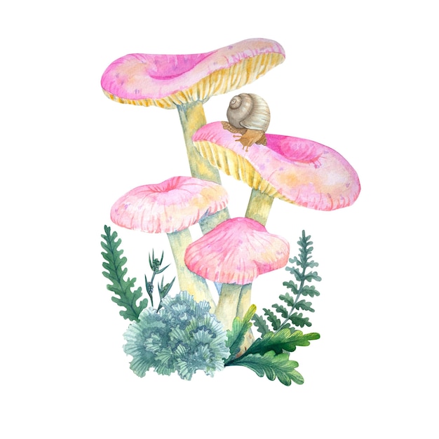 Aquarel paddestoelen bladeren slak op witte achtergrond Botanische illustratie voor ansichtkaarten posters textiel design