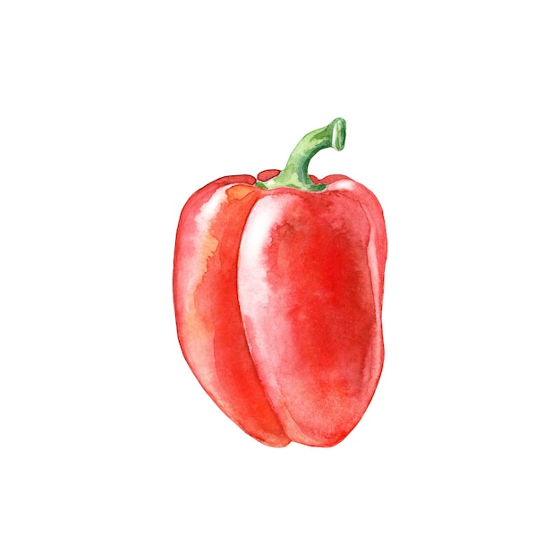 Aquarel paprika