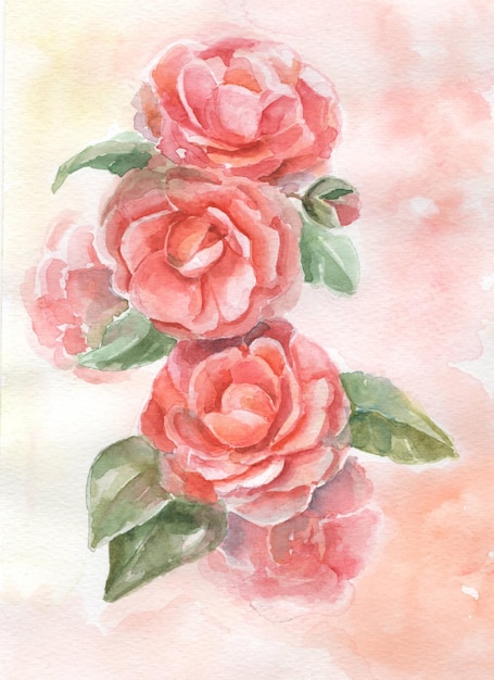 Aquarel prachtige rozen - chinese rode rozen, bloemen voor ansichtkaarten