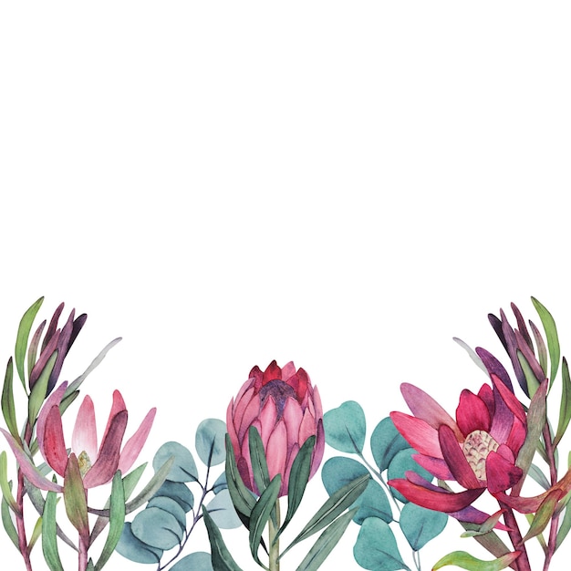 Aquarel Protea en Eucalyptus bruiloft illustratie clipart