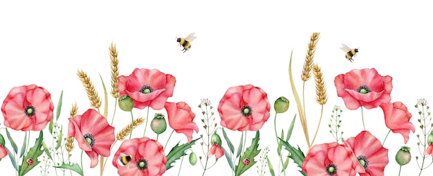 Foto aquarel rode papavers gefelst grens hand getrokken bloemen illustratie rode wilde bloemen