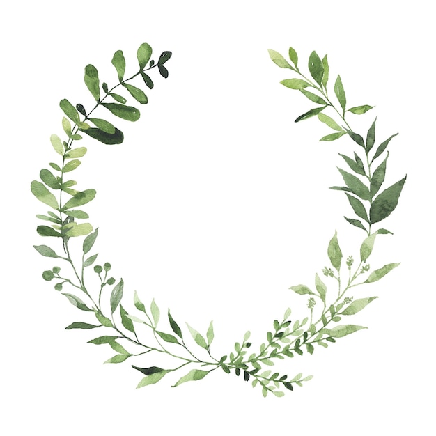 Aquarel ronde krans met groen bladeren tak takje plant kruid flora geïsoleerd