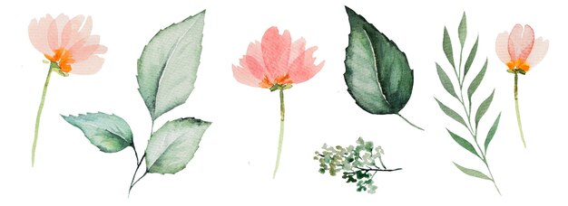 Aquarel roze bloemen en groene bladeren illustratie set geïsoleerd