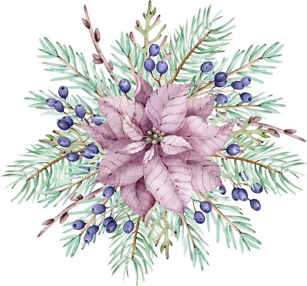 Aquarel roze poinsettia bloem met pijnboomtakken en blauwe bessen. kerst boeket. new year's winter kaart geïsoleerd op de witte achtergrond.