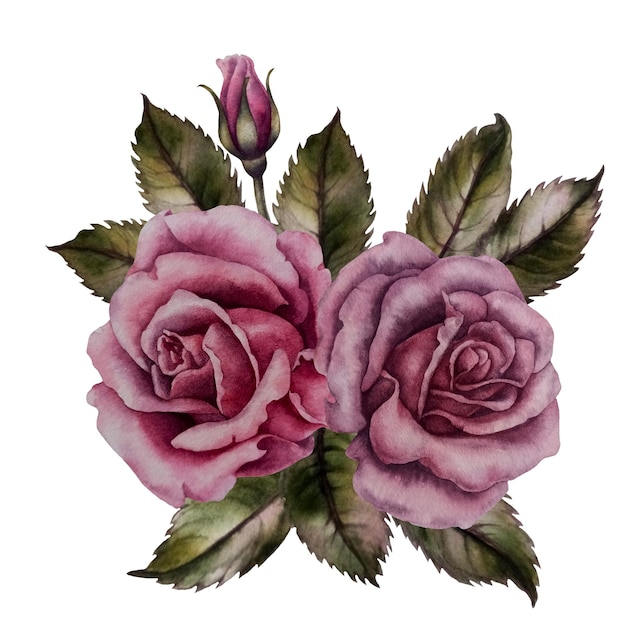 Aquarel roze rozen en groene bladeren voor Valentijnsdag, bruiloft, moederdag, verjaardagsfeestje