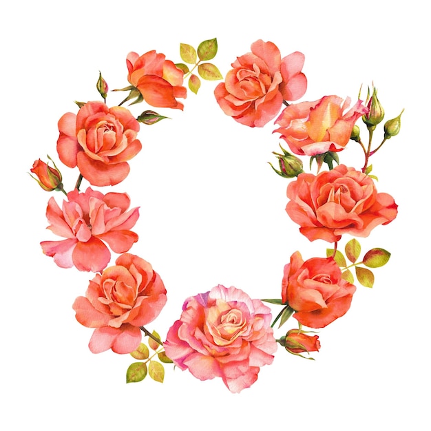 Aquarel rozen Ronde frame van roze rozen en bloemblaadjes geïsoleerd op een witte achtergrond