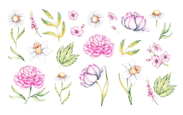 Aquarel set Lentebloemen