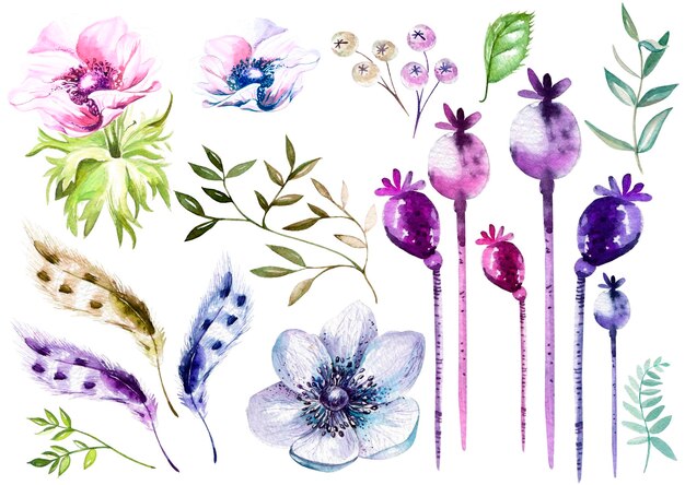 Aquarel set met anemonen illustratie