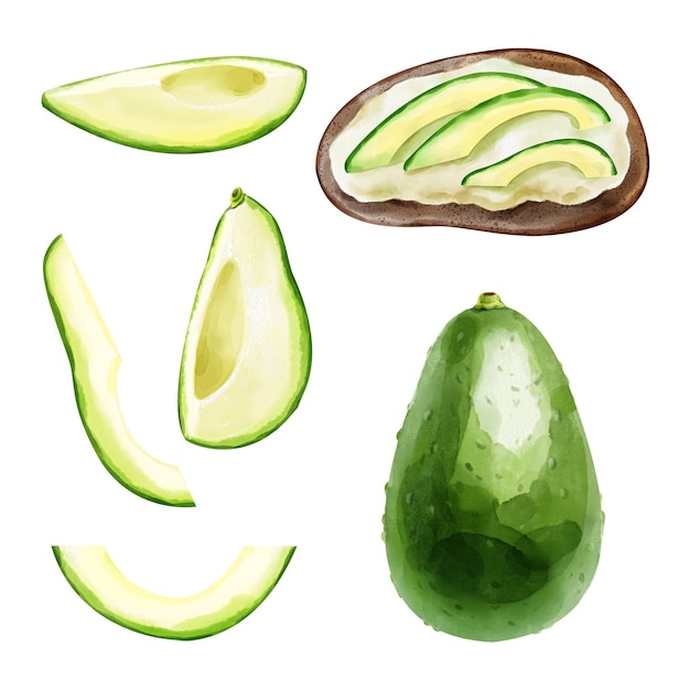 Aquarel set met avocado plakjes heel fruit en guacomole geïsoleerd op een witte achtergrond