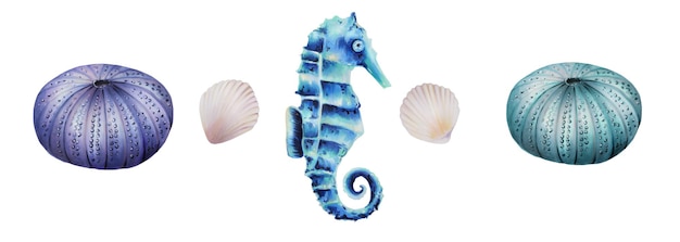 Aquarel set met zeepaardje en egel schelpen Hand schilderij clipart onderwater leven objecten op aw